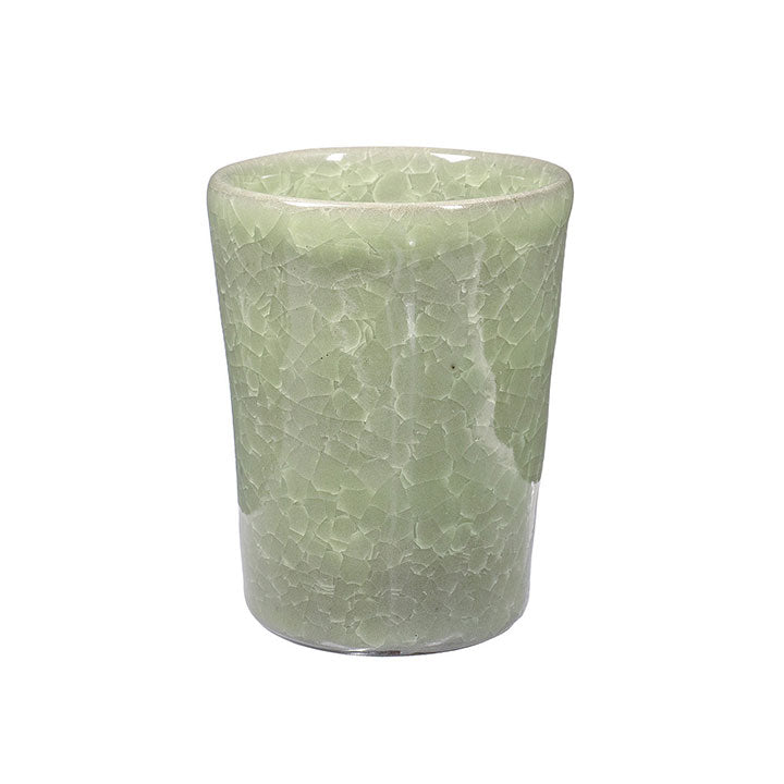 Amaco Kiln Ice Frozen Fern Brush-on Glaze