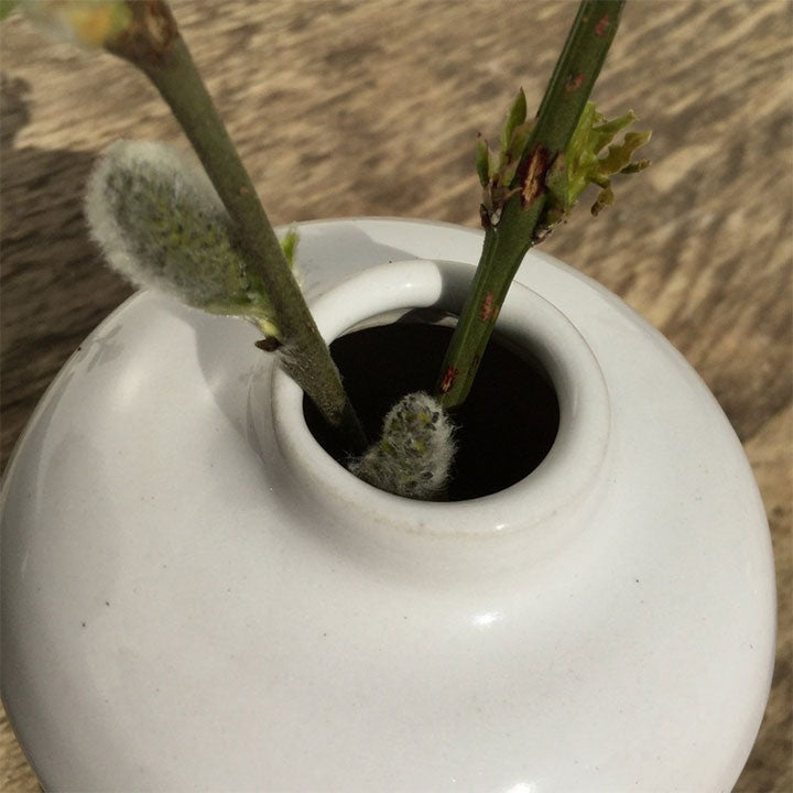 Botz White Glossy Stoneware Brush-on Glaze