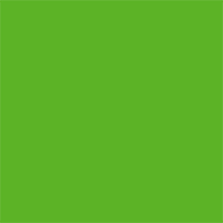 Laguna Bright Green Overglaze Pen