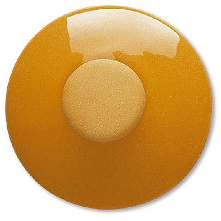 Terracolor Butterscotch Brush-on Decorating Slip