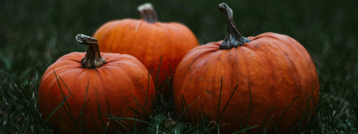 Halloween Clays