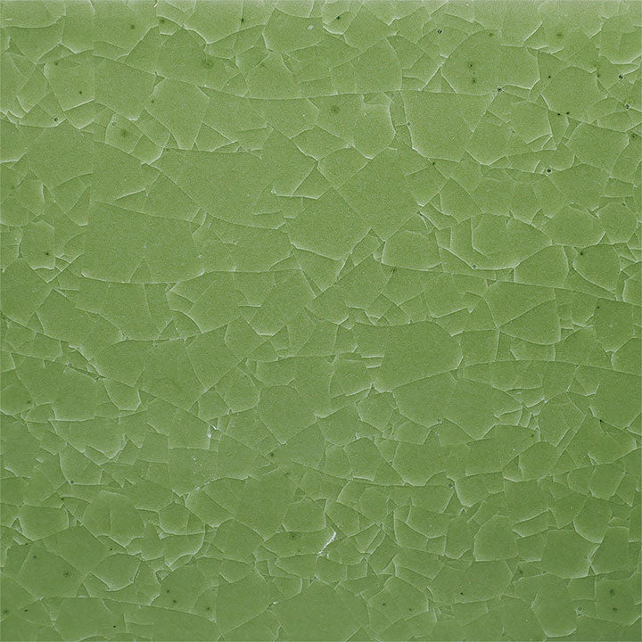 Amaco Kiln Ice Frozen Fern Brush-on Glaze