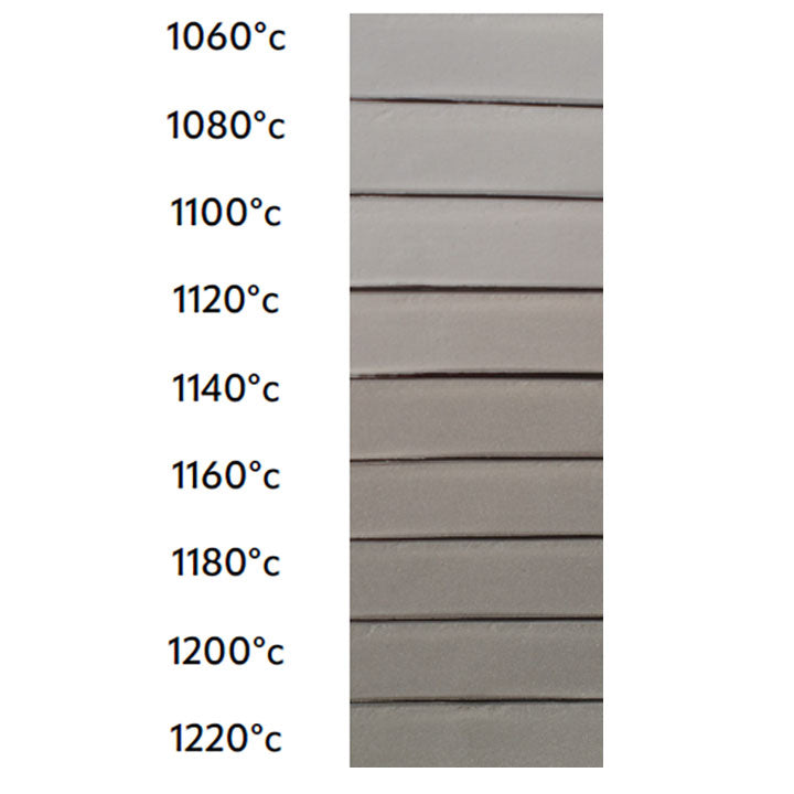 Valentine Shale LoStone Low Fire Clay
